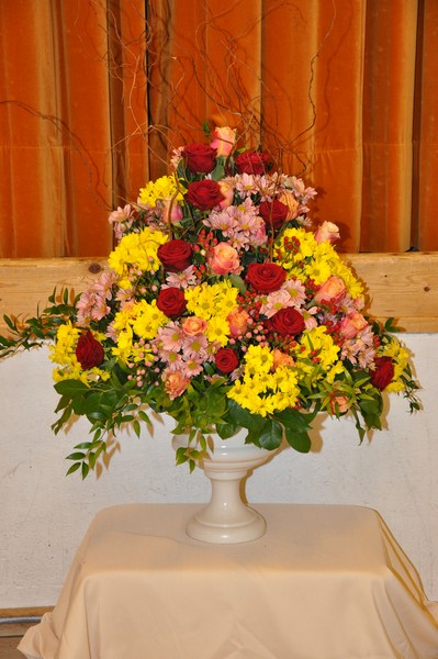 n_Bild-005 D90_ASKOPRO_12745.jpg